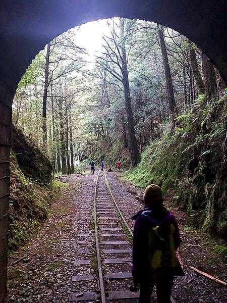 6.0K第5號隧道(48m,H2338m) 6.0K第5號隧道(48m,H2338m)