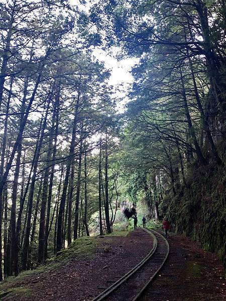 眠月線森林鐵道風景 眠月線森林鐵道風景