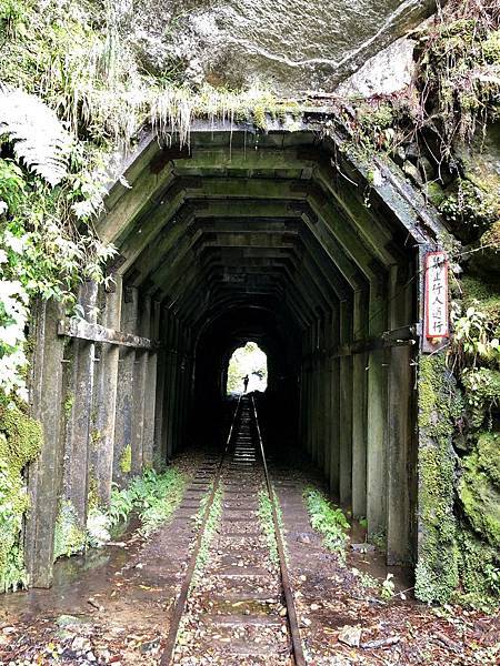 第7號隧道(43m,H2332m)