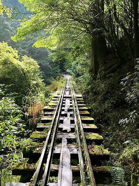 第19號橋樑(59.7m) 第19號橋樑(59.7m)