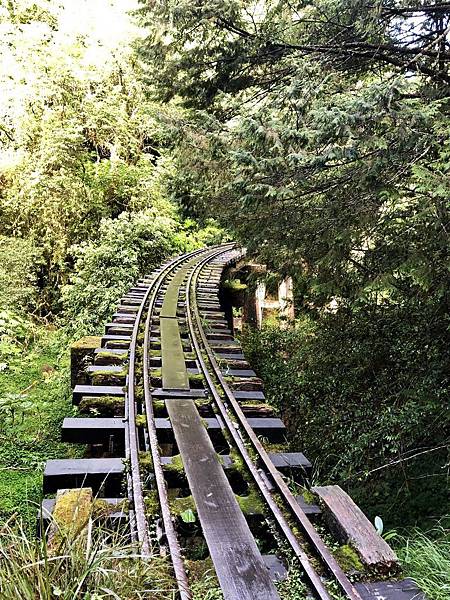 第19號橋樑最美森林鐵路彎道風景 第19號橋樑最美森林鐵路彎道風景