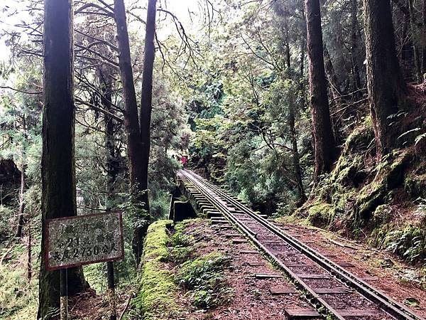 第21號橋樑(27.3m) 第21號橋樑(27.3m)