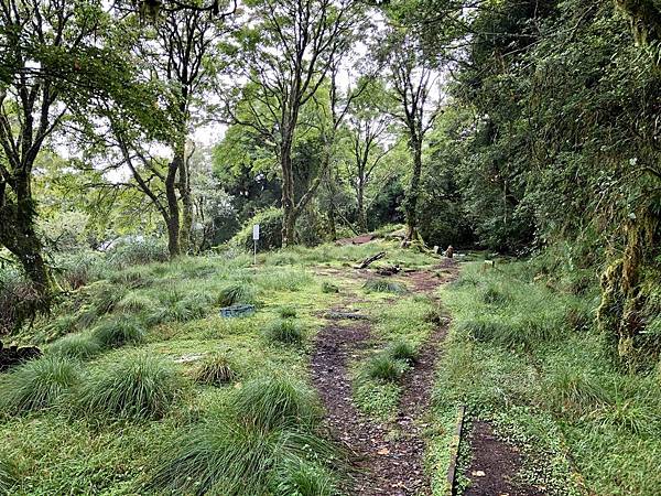 塔山線後段一景
