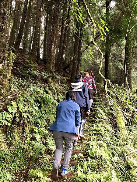 通往石猴頂步道