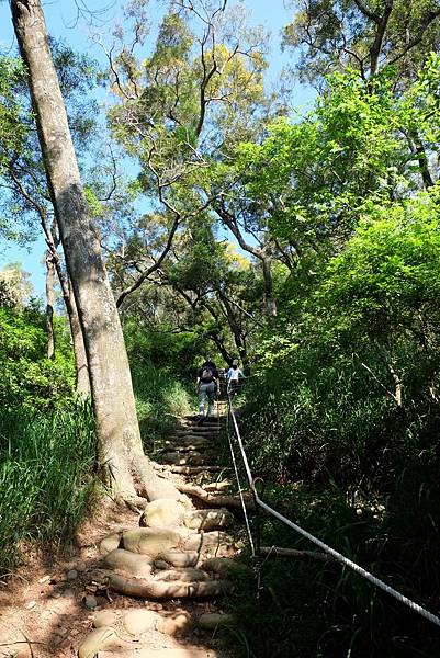 火炎山登山步道