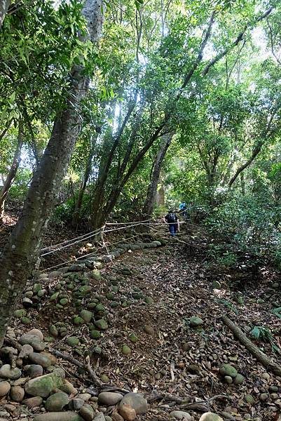 火炎山登山步道陡上