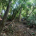 火炎山登山步道陡上