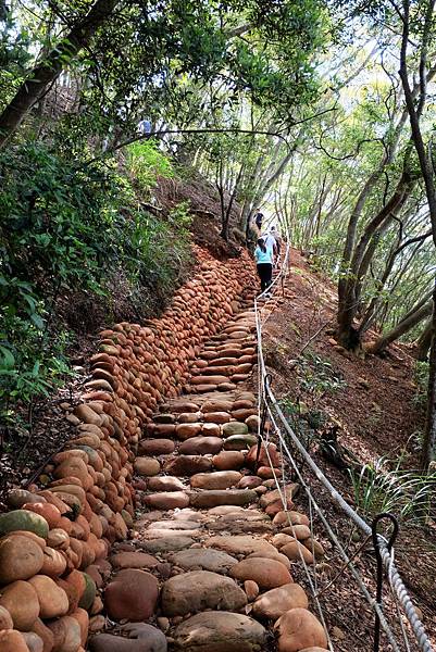 火炎山登山步道維護良好