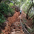 火炎山登山步道維護良好