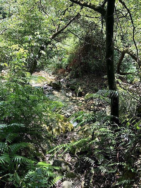 密林中的北磺溪 密林中的北磺溪