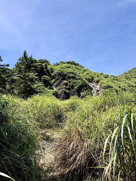 芒草山徑天際露出 芒草山徑天際露出