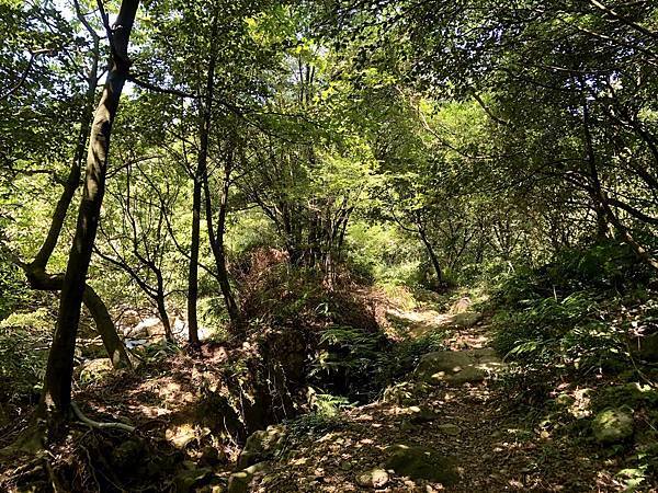 渡溪後續行密林山徑 渡溪後續行密林山徑