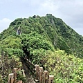 基隆嶼登山步道稜脈風景