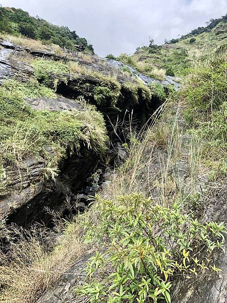 「美雅溪一線天」頂端峽谷裂隙