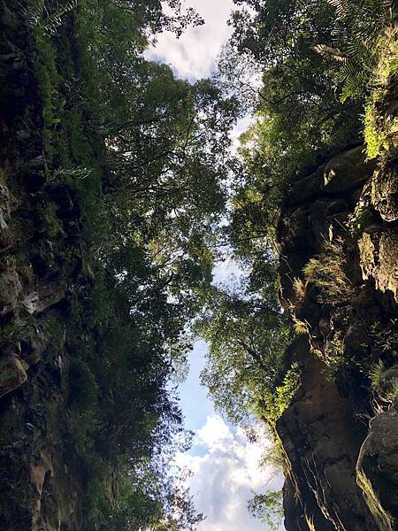 仰望栗栖溪一線天