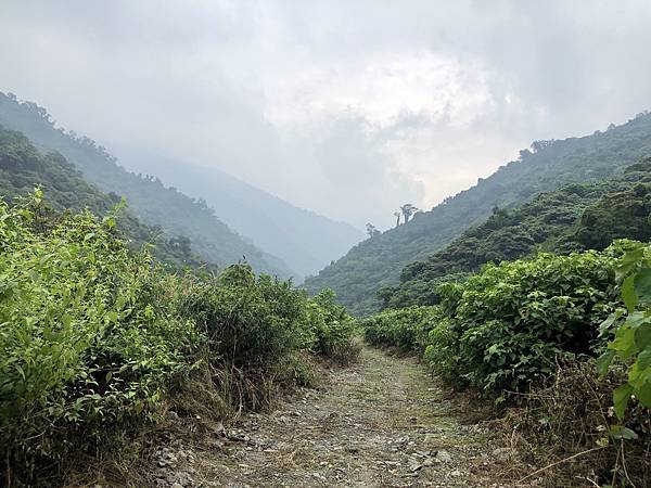 最後停車場往東續行簡易便道