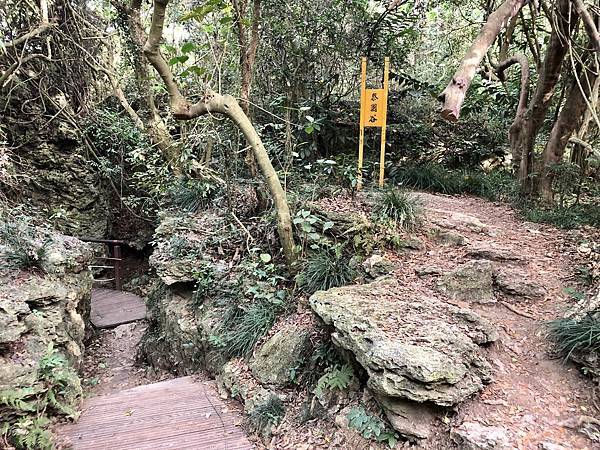 「泰國谷」立牌出木棧道