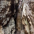 「四口灶」石灰岩洞穴裂隙入口