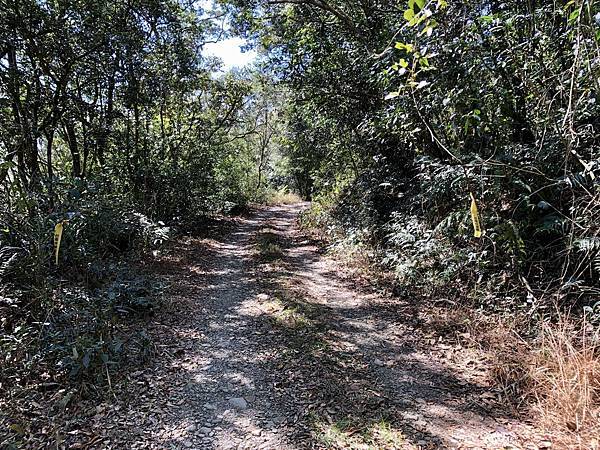 停車徒步續行產業道路