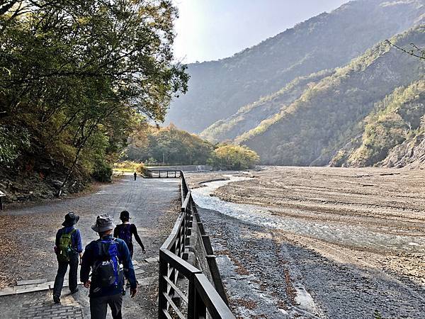 楓林步道下切至萬大溪邊