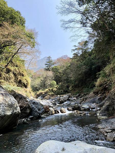 萬大北溪野溪溫泉續往上游方向