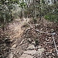 三地山南峰登山步道