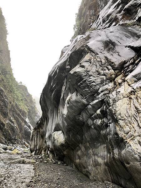 「W曲流大峽谷」右岸岩壁