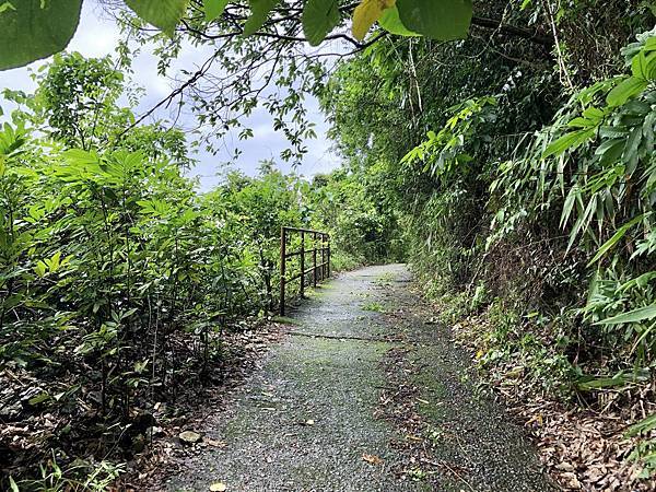 陡上產業道路途中