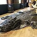 黑屋博物館展示鱷魚皮桌飾