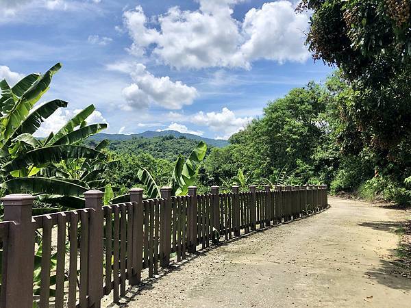 續往河岸堤防道路