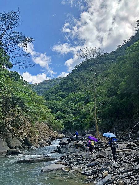 遇河道立木景觀