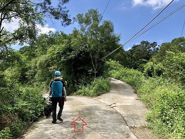 第二岔路左行（產業道路下切2.5K）