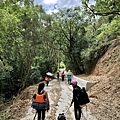 產業道路下切路況