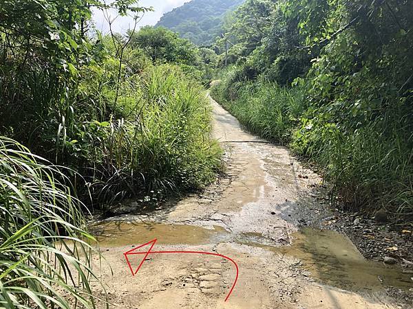 產業道路下切龜丹溪方向