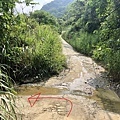 產業道路下切龜丹溪方向