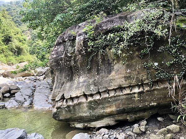 抵達「龜丹暴龍頭」