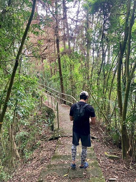 步道遇竹林 步道遇竹林