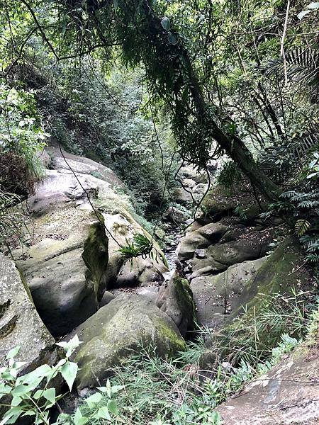 「鳳凰瀑布」續往下游方向 「鳳凰瀑布」續往下游方向