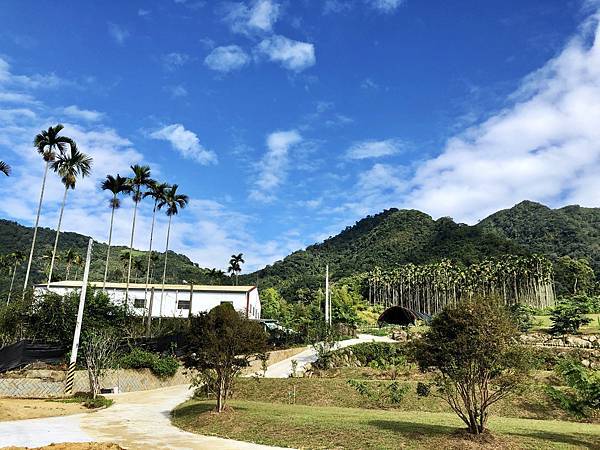 嘉義縣番路鄉大湖村風景