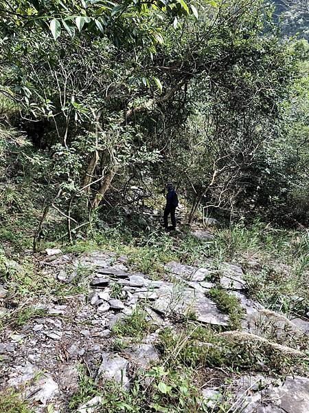 「展望陽瀑點」之後續行方向