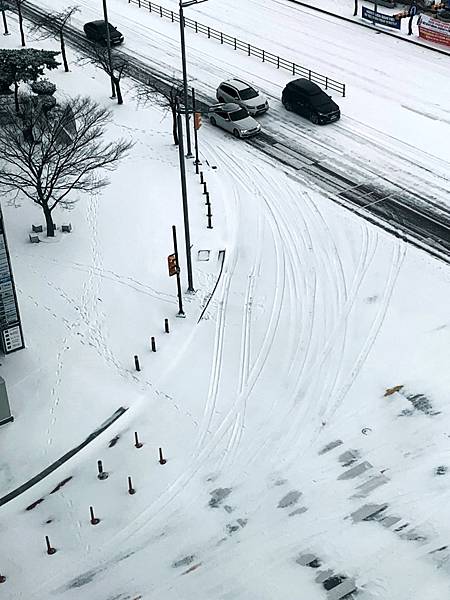 韓國街道下雪了