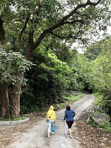 續入露營平台後方廢遺道路