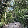 產業道路爬坡路況