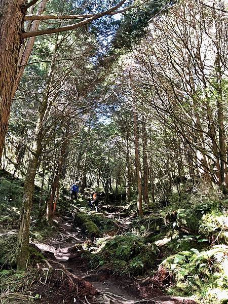 塔關山登山步道風景