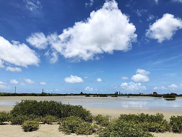 七股鹽田濕地風景