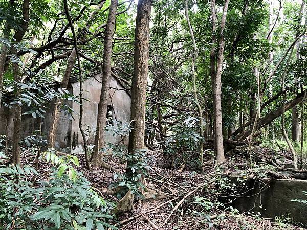 橄欖山「越共村」