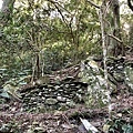 陸續發現駁坎遺跡