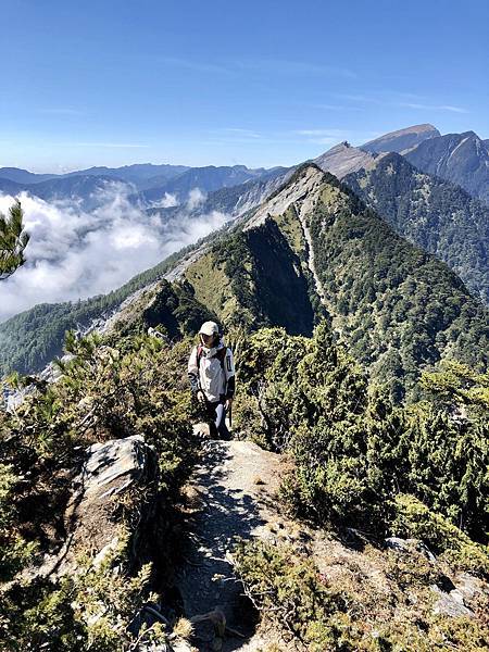 關山嶺山步道稜線風景