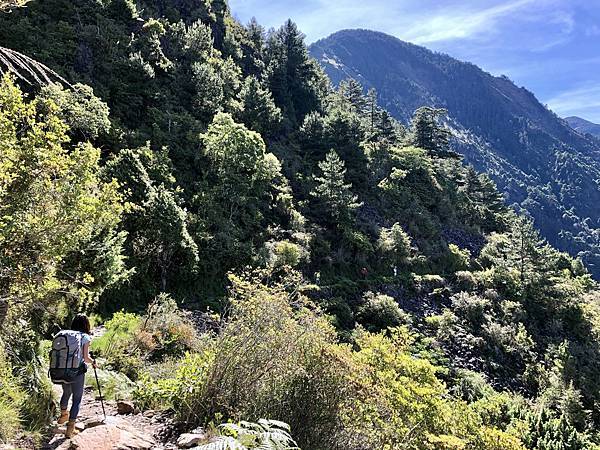 玉山登山步道風景