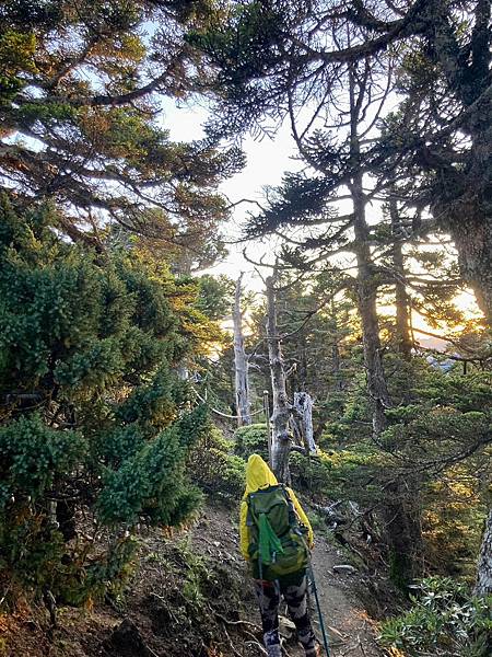 往玉山北峰林間步道